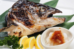 Sake Kabuto Shioyaki /Teriyaki